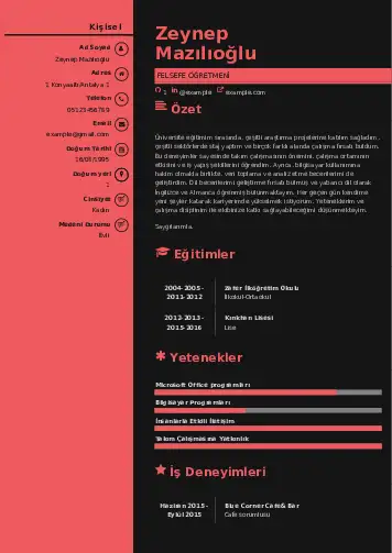 Felsefe Öğretmeni CV Örnekleri cv indir